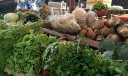 Cuối vụ, rau xanh đội giá... 400%