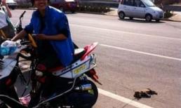 Cư dân mạng phẫn nộ với thanh niên hả hê kéo xác chó trên đường phố
