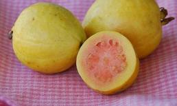 Các thực phẩm giúp chị em trẻ trung hơn tuổi