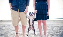 Những bức ảnh gia đình siêu hài hước và đáng yêu