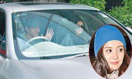 Dương Mịch béo lên sau khi nghỉ dưỡng thai