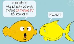 "Sở Khanh" nhất trong loài cá là ai?