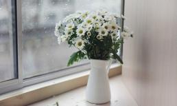 Chiêm tinh tuần lễ đầu tháng 4 của 12 cung hoàng đạo