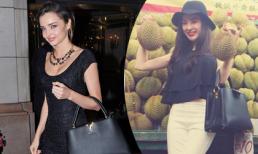 Phương Trinh "đụng" túi trăm triệu với Miranda