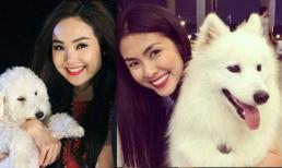 Điểm danh sao Việt "cuồng yêu" thú cưng