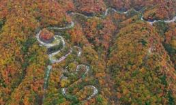 Đánh võng ở cung đường lắc léo nhất Nhật Bản