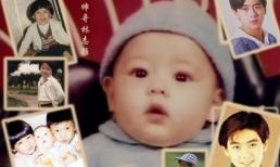 Ngắm vẻ đẹp bất chấp thời gian của Lâm Chí Dĩnh