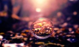 Thứ Năm của bạn (6/3)