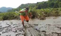 Việc nhẹ lương cao: Cho cá sấu Nam Mỹ ăn mỗi ngày