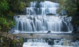 Ngỡ ngàng với phong cảnh tuyệt đẹp tại đảo Nam New Zealand