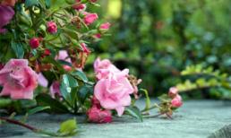 Khám phá chủ nhật của bạn (9/3)