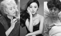 Thán phục tài trang điểm của sao Hoa ngữ