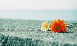 Khám phá thứ năm của bạn (10/4)