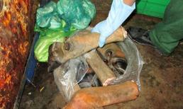 Rùng mình với lò tẩy trắng trâu bò thối