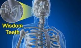 5 điều kì lạ về cơ thể con người