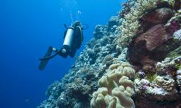 Những hành trình du lịch thú vị không thể bỏ lỡ