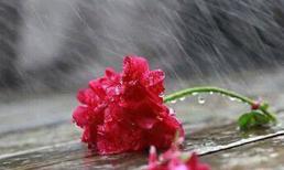 Năm lần bảy lượt bắt sống chồng ngoại tình