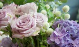 Khám phá tuần mới của bạn (14/4 - 20/4)