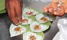 Ăn trầu - Thủ phạm gây ung thư