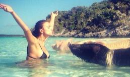 Bồ CR7 tạo dáng độc bên lợn