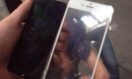 Lộ ảnh mặt trước của iPhone 6