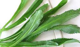 Chữa cảm cúm với mùi tàu