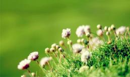 Khám phá thứ tư của bạn (16/4)