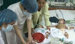 BS Minh Tân: Đúng và sai khi dùng hạt/ lá mùi phòng tránh bệnh sởi