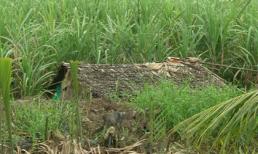 Cãi nhau trong bữa ăn, chồng dùng nồi cơm giết vợ