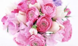 Khám phá thứ năm của bạn (17/4)