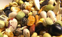 Thực phẩm “vàng” cho trẻ mẫu giáo khỏe mạnh và thông minh