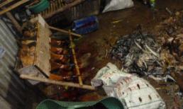 Bắt giữ gần 1 tấn thịt hôi thối tuồn vào TP.HCM