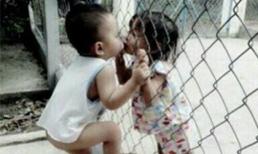 Cười "nghiêng ngả" với những hình ảnh cực độc