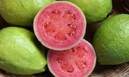 Khám phá công dụng tuyệt vời của trái ổi