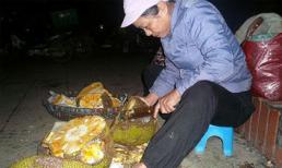 Kỹ nghệ "hồi sinh" hoa quả thối