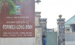 Cháy lớn tại nhà máy chế biến gỗ