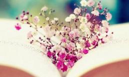 Tử vi 12 chòm sao ngày 23/4