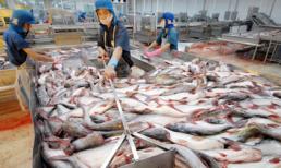 Tham vọng tỷ đô của "người tình" Mỹ Tâm