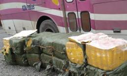 Bắt xe khách chở hơn một tấn nội tạng thối