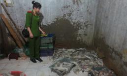 Hải sản “bẩn” ùn ùn dội về Thủ đô