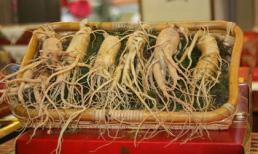 Ai không được dùng nhân sâm ?