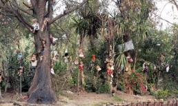 9 địa danh không một bóng người đáng sợ nhất thế giới