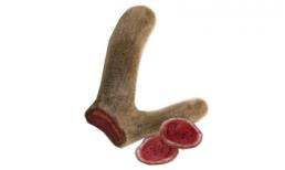 Nhung hươu chữa yếu sinh lý