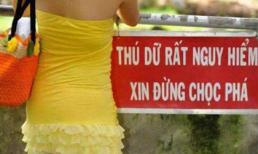 Nào mình cùng "chém" theo chiều gió