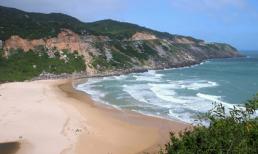 Đẹp “gai người” màu xanh Đại Lãnh