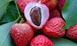 5 loại trái cây giúp giải nhiệt mùa hè