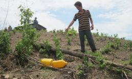 Bé gái 7 tuổi bị cha ruột hại đời bằng trò đồi bại