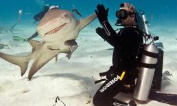 Những khoảnh khắc 'phi thường' của động vật