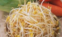 Giá đỗ, vị thuốc quý