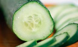 Công dụng chữa bệnh của dưa chuột
